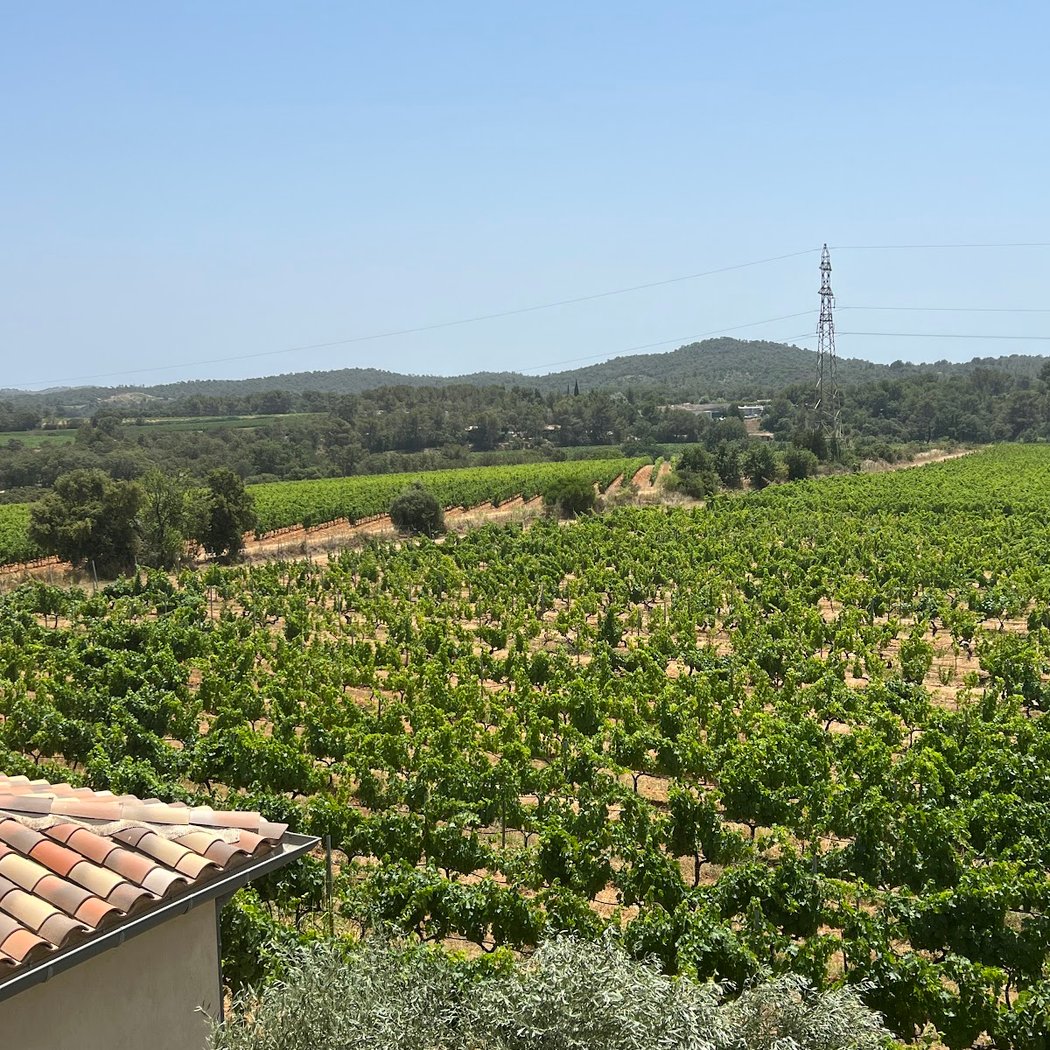 Château la Valetanne | Domaine Viticole AOC Cotes de Provence | La Londe 3