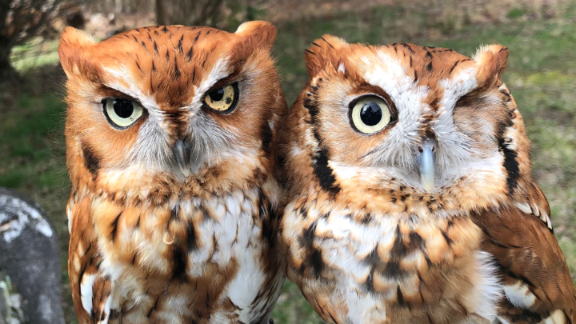 Annual Earth Day Open House: FREE Admission 1