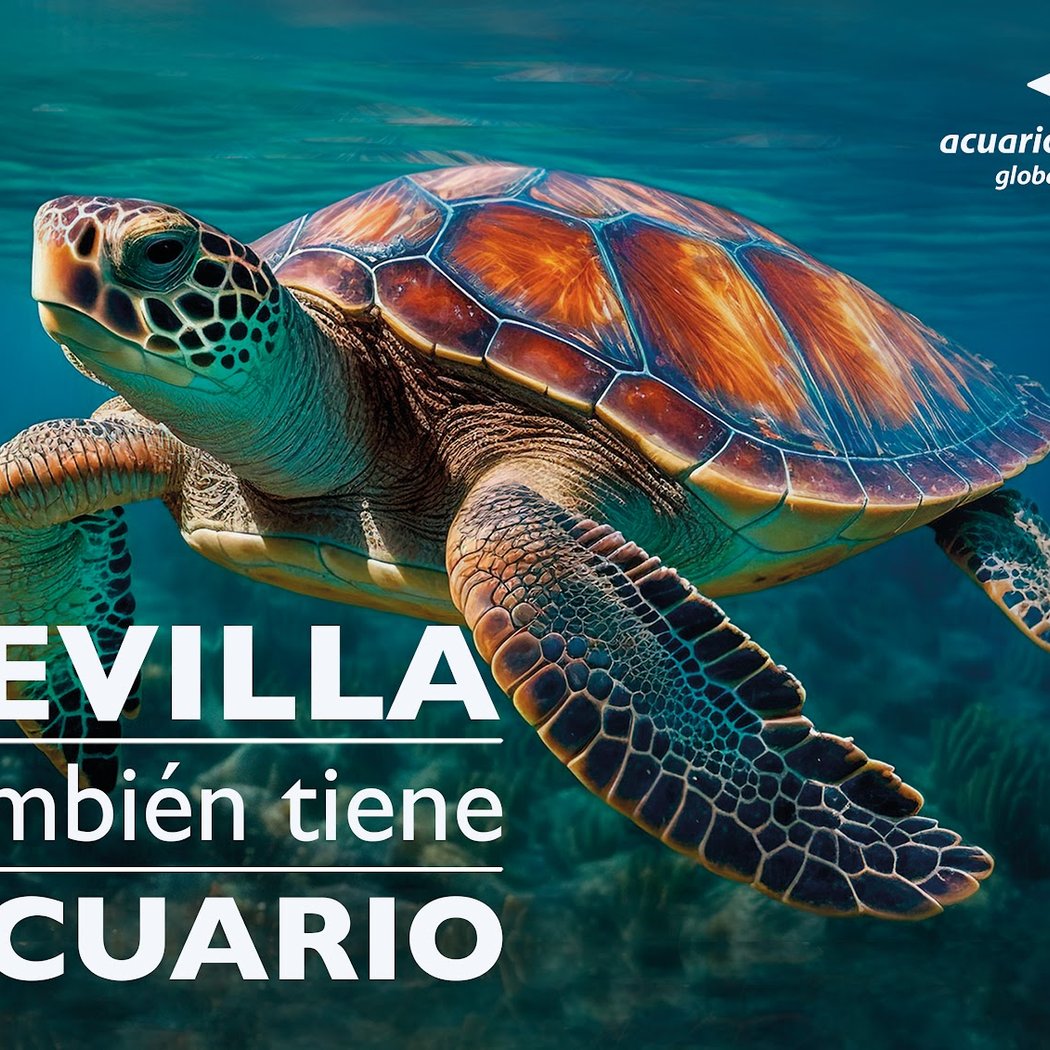 Taller «Aquí salvamos tortugas» 1