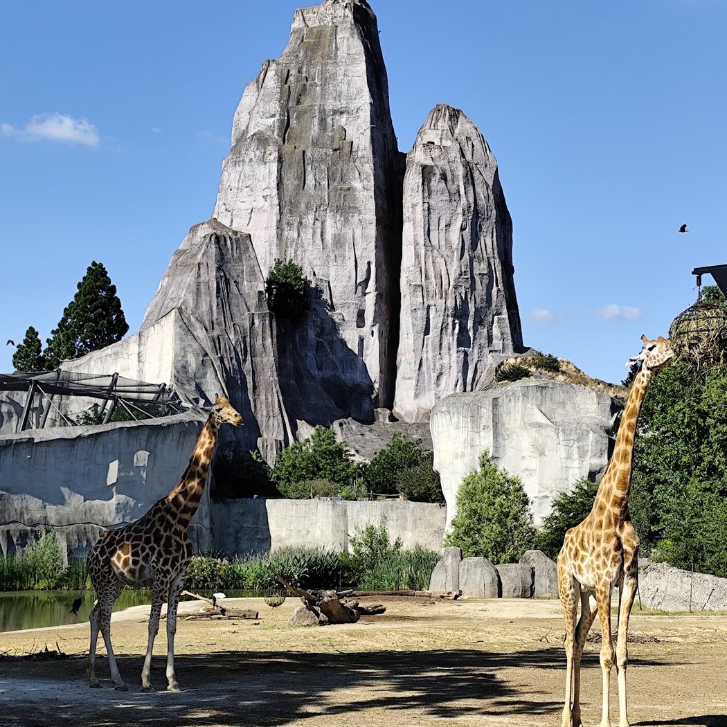 Grand Rocher du Parc Zoologique de Paris 1