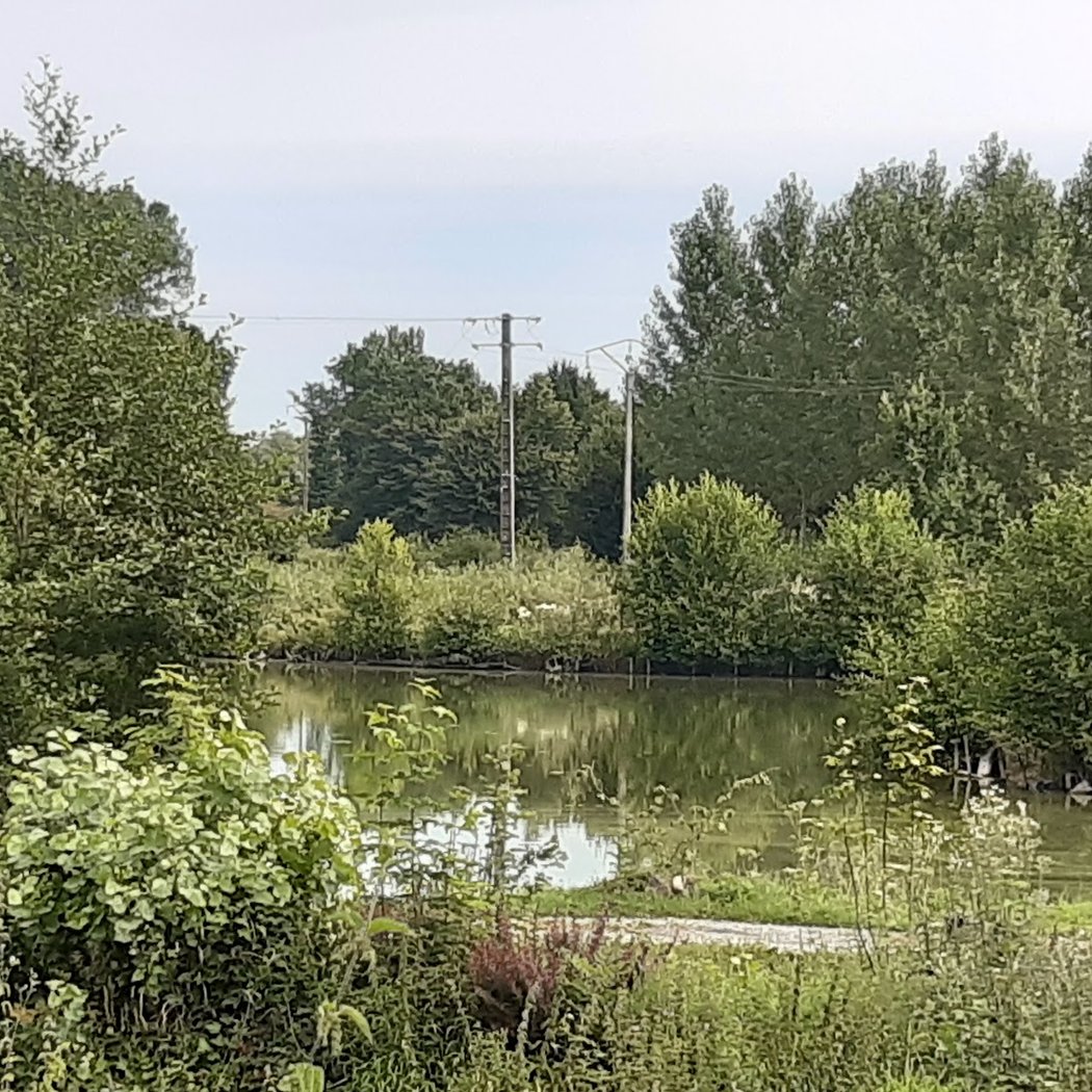 Domaine des étangs du bois de L’abbaye 3