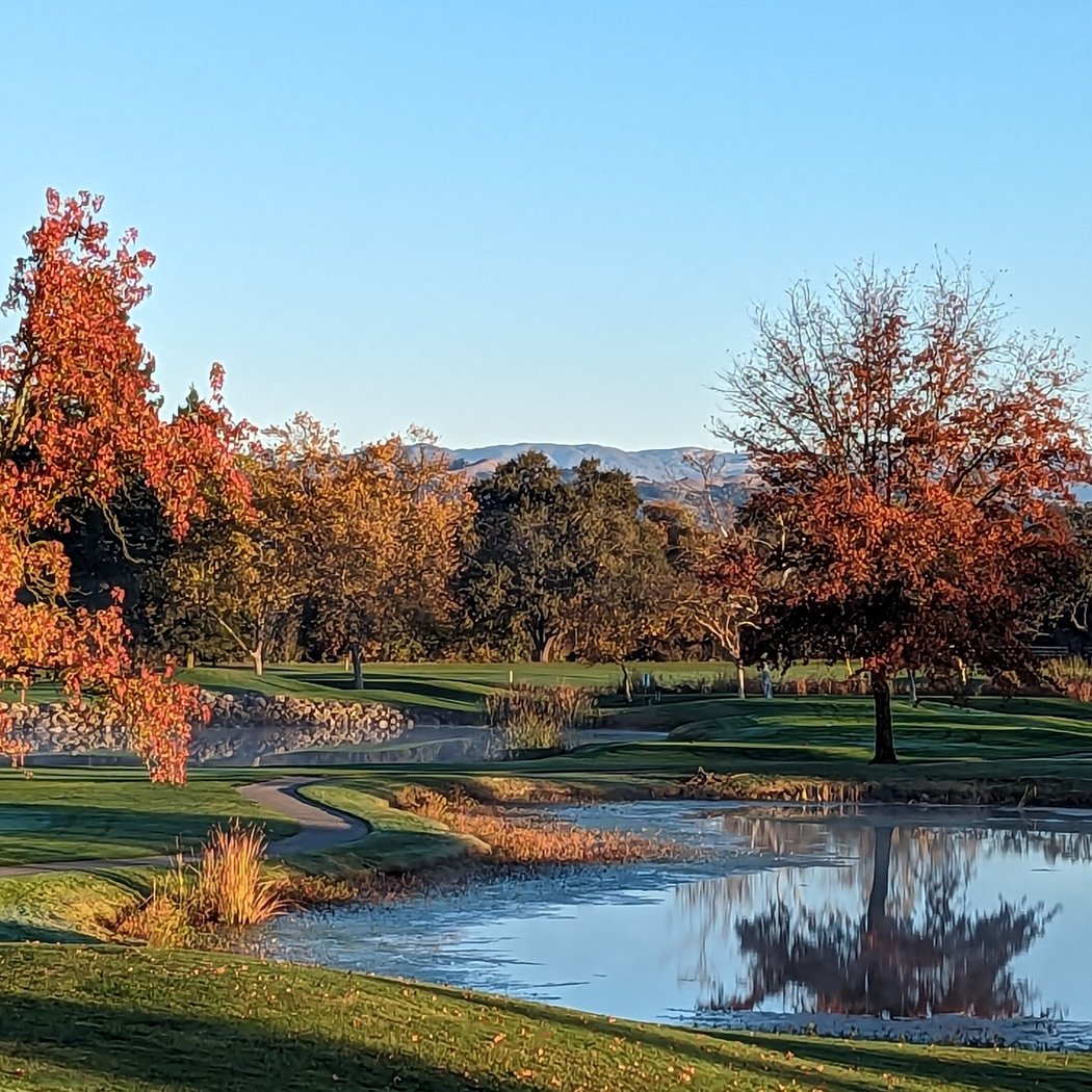 Golf Tournament 3