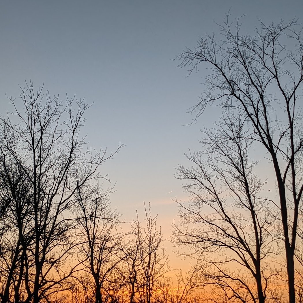 Old Hickory Trail at Pittsfield Preserve 2