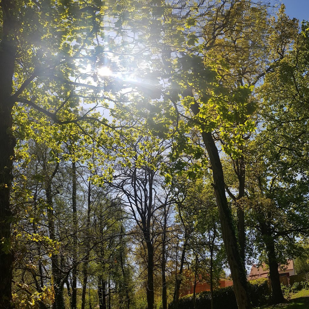 Parc du Champ Toury 2