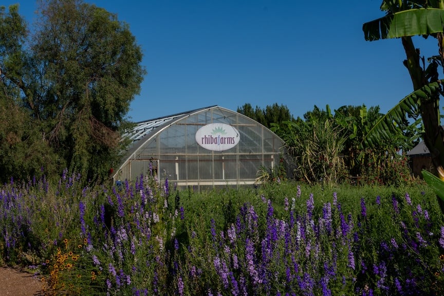 Rhibafarms Farm Stand 3