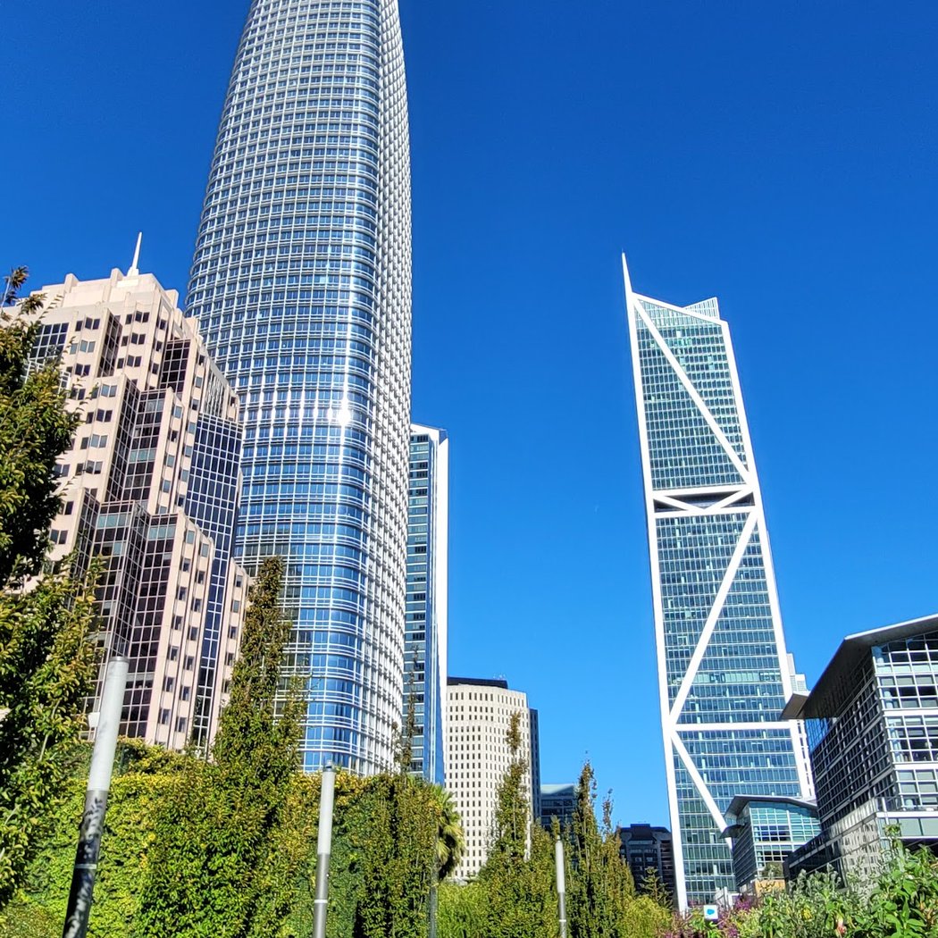 Gardens in the Sky: Salesforce Transit Center and Rooftop Park Tour 3