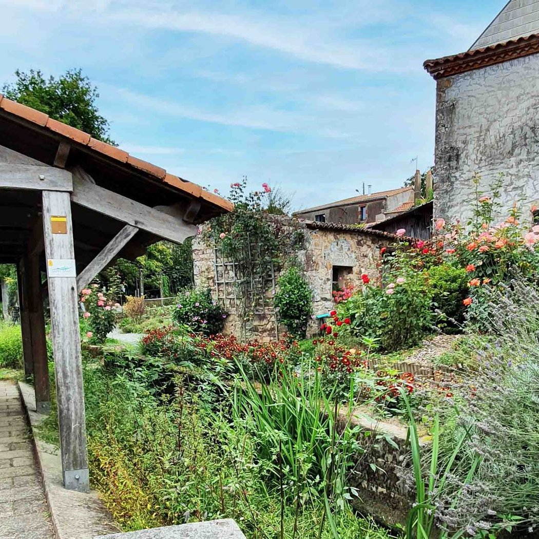 Rive du Petit Lay 2