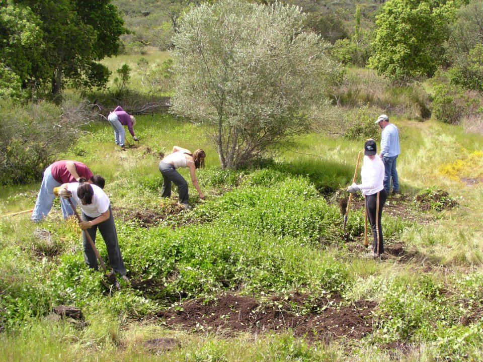 Archer Taylor Preserve Volunteer Day 1