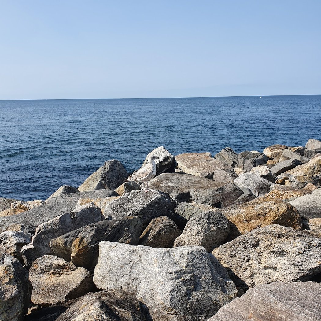 Atelier : guirlande de la mer 4