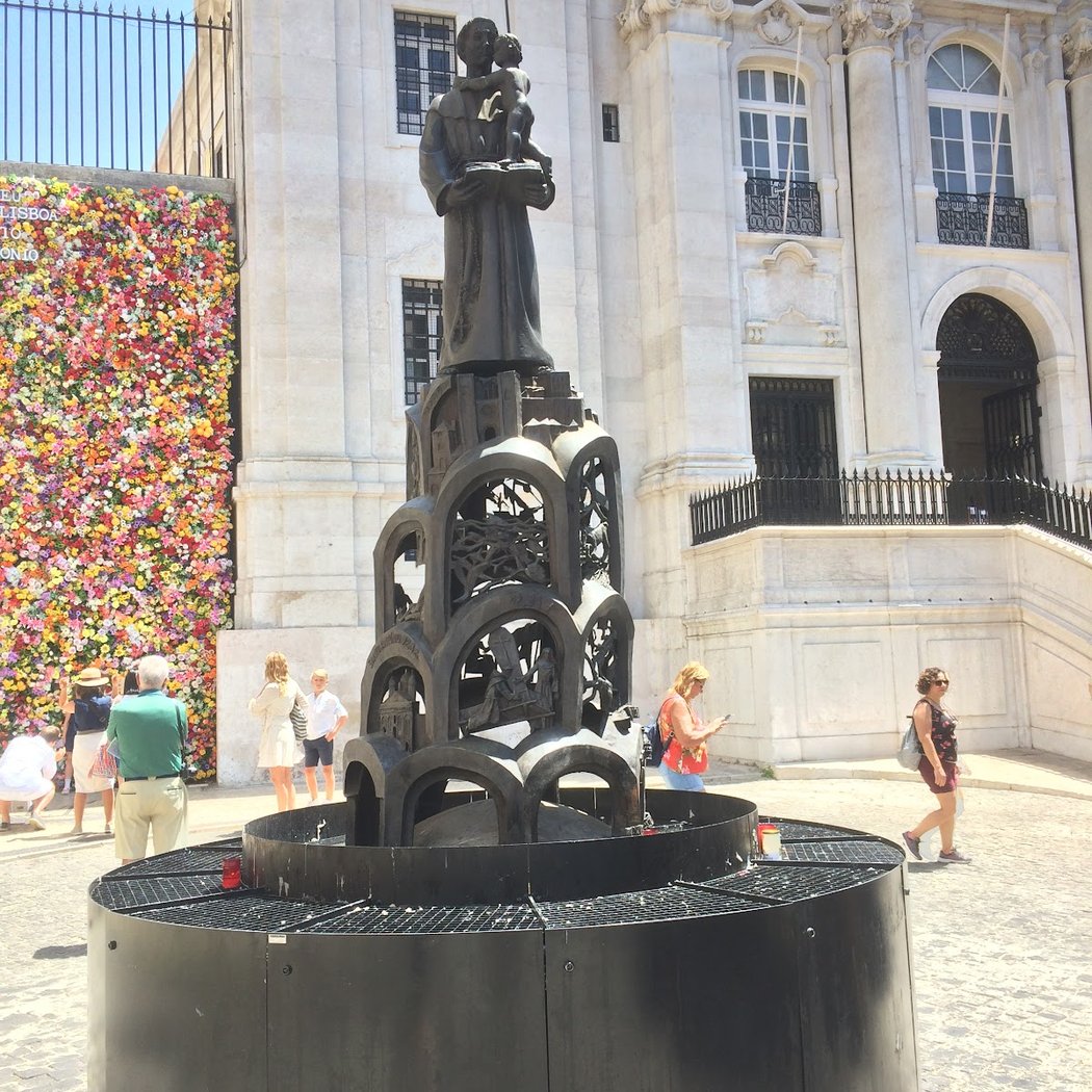 Lavagem de Santo António 3