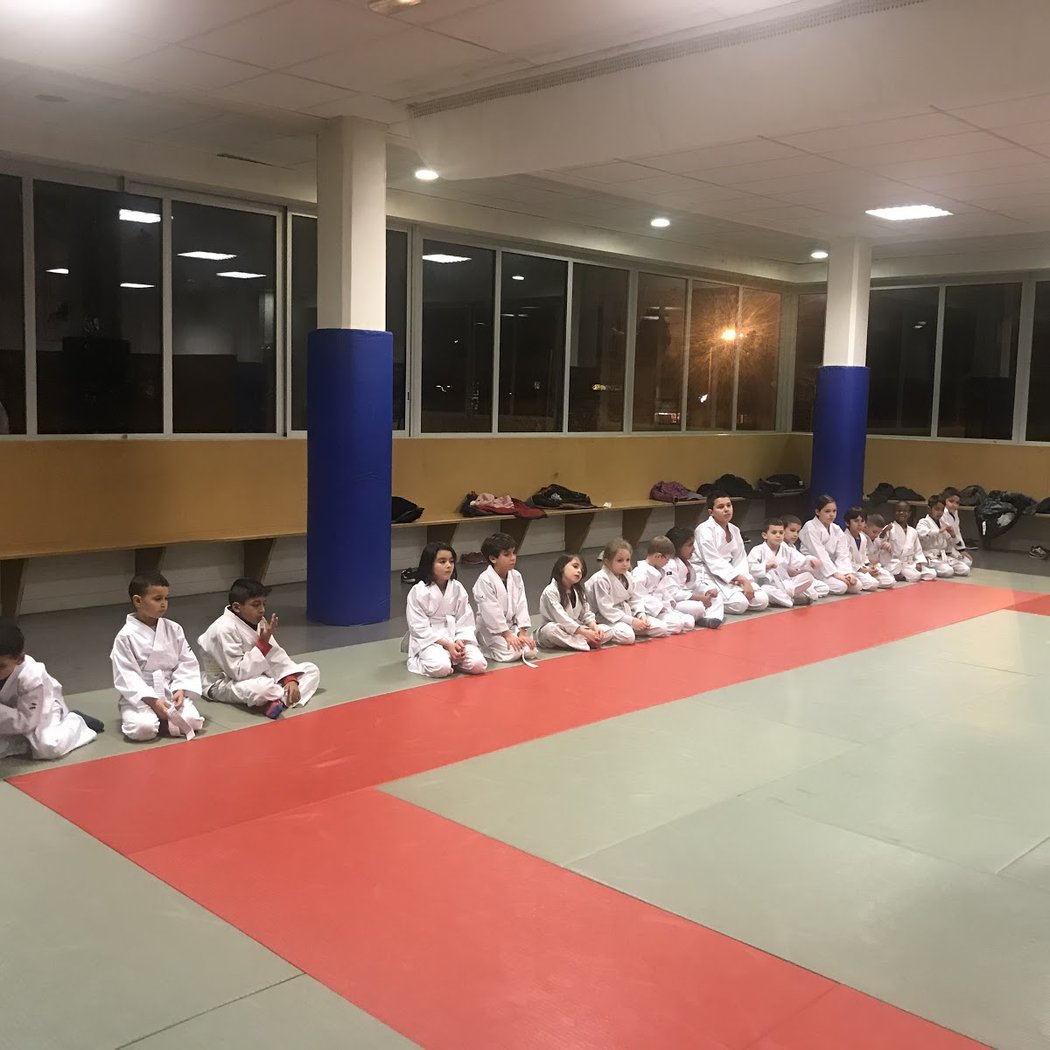 Aikido Stains 3