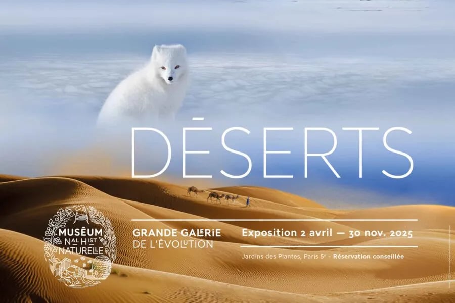 Déserts 3