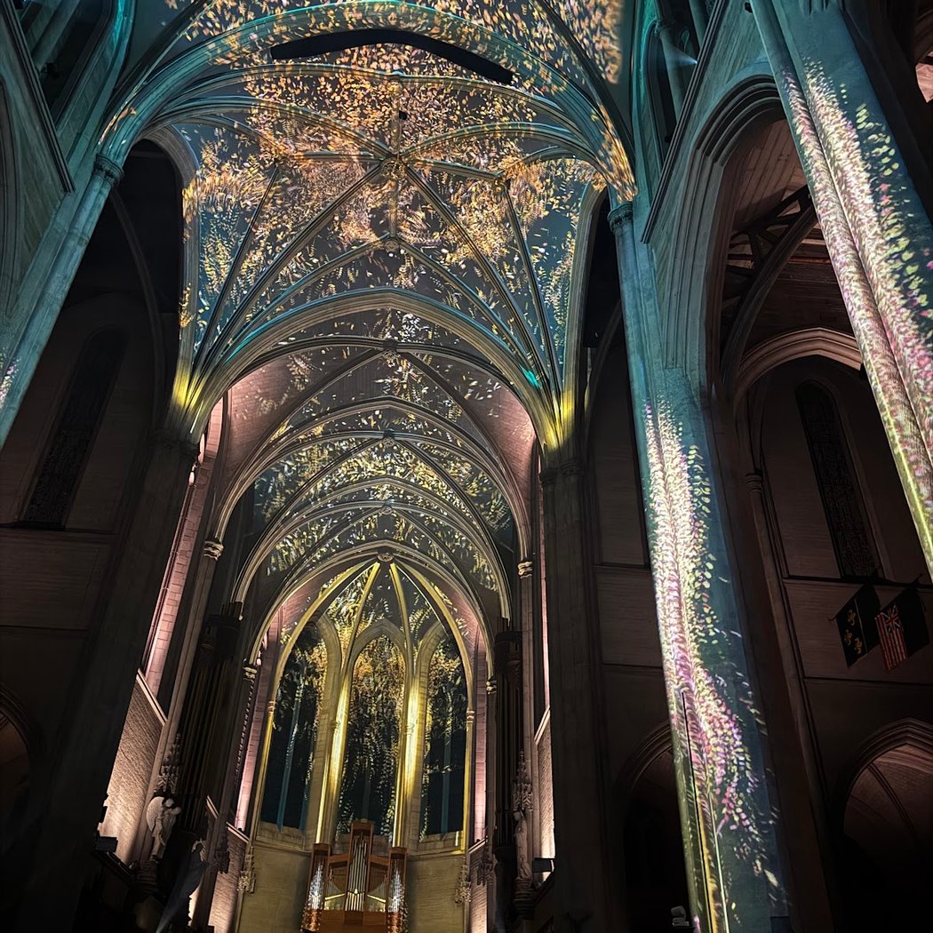 AURA: An Immersive Odyssey of Breathtaking Proportions 2
