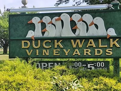 Duck Walk Vineyard 2