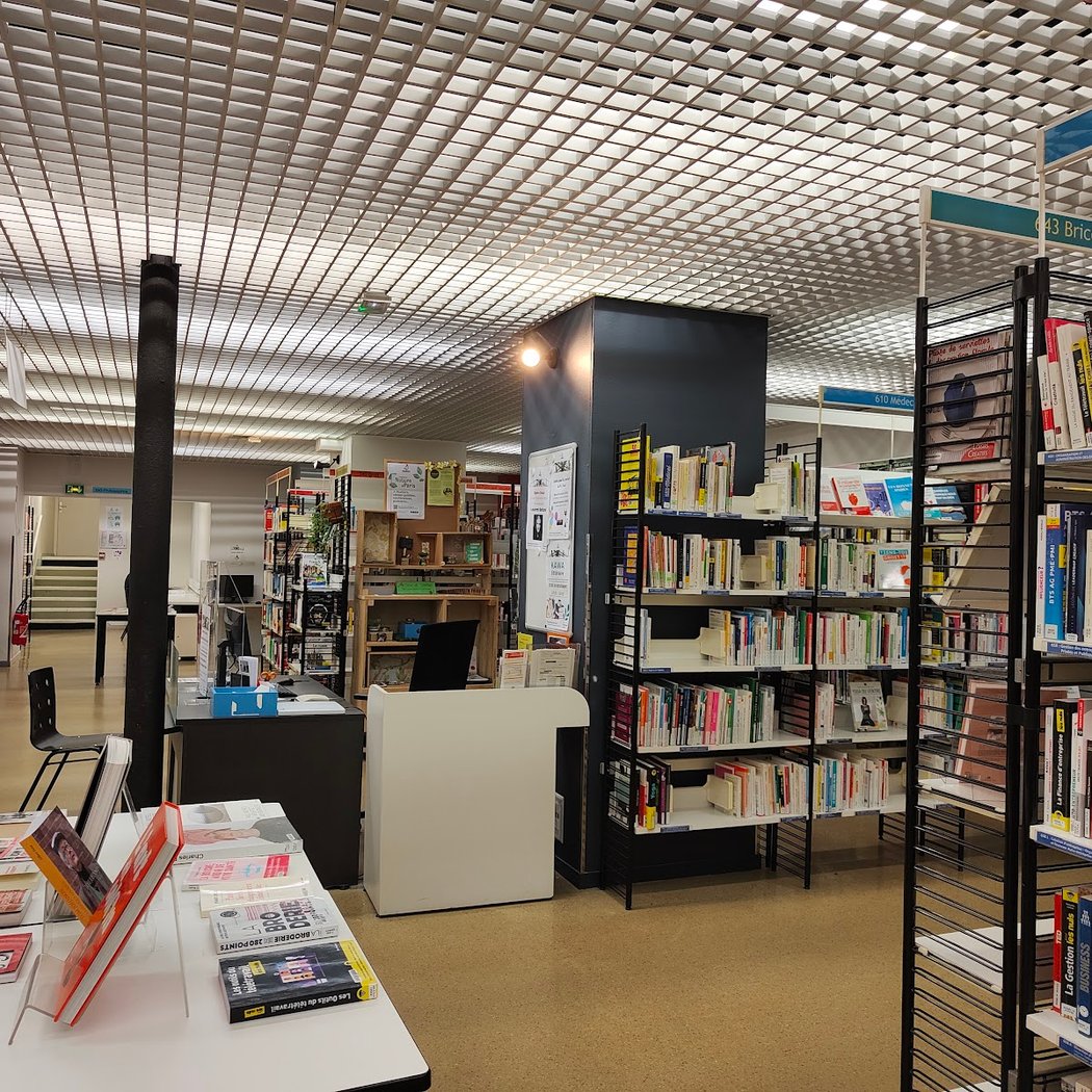 Library Toni Morrison 3