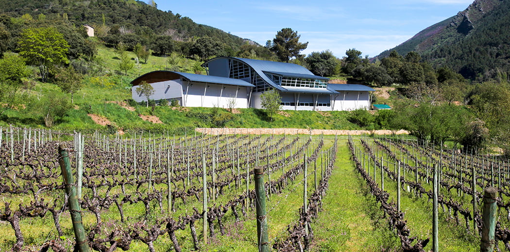 Bodegas Godeval 2