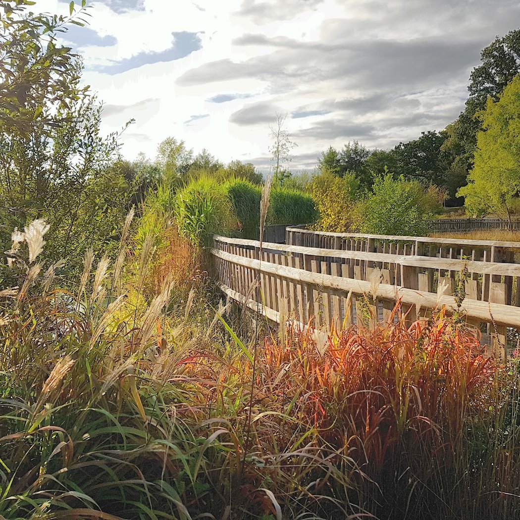 Parc de la Prairie de Groussay 1