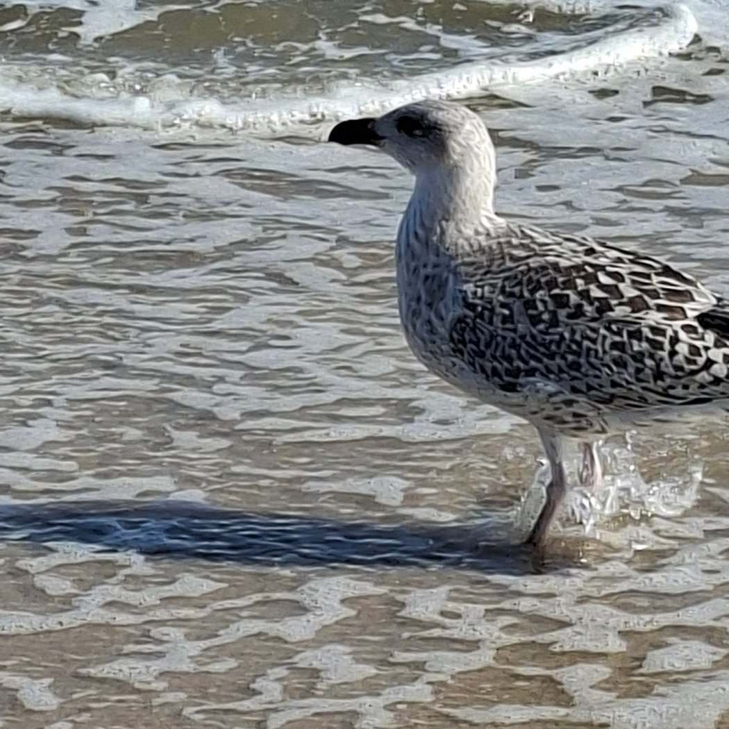 Southampton Beach 4
