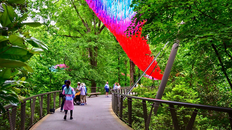 Atlanta Botanical Garden 1