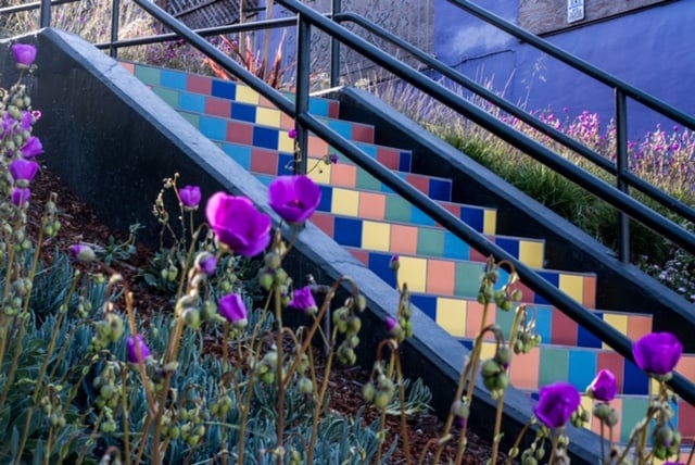 Tompkins Stairway Garden Work Day 1