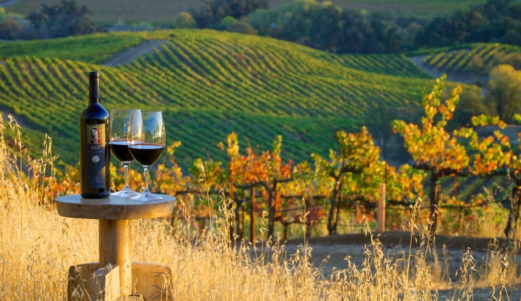 Sip & Celebrate The Seasons: Riedel Glass Tasting 1