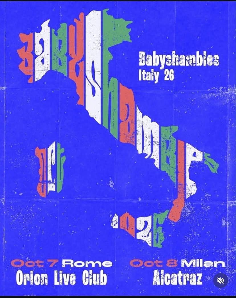 BABYSHAMBLES