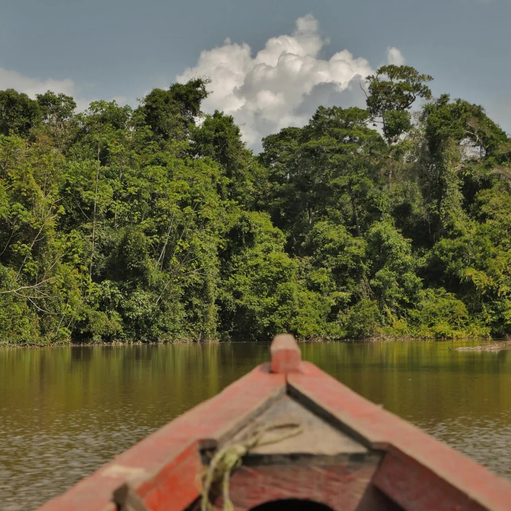 Quand les langues se rencontrent en Amazonie 1