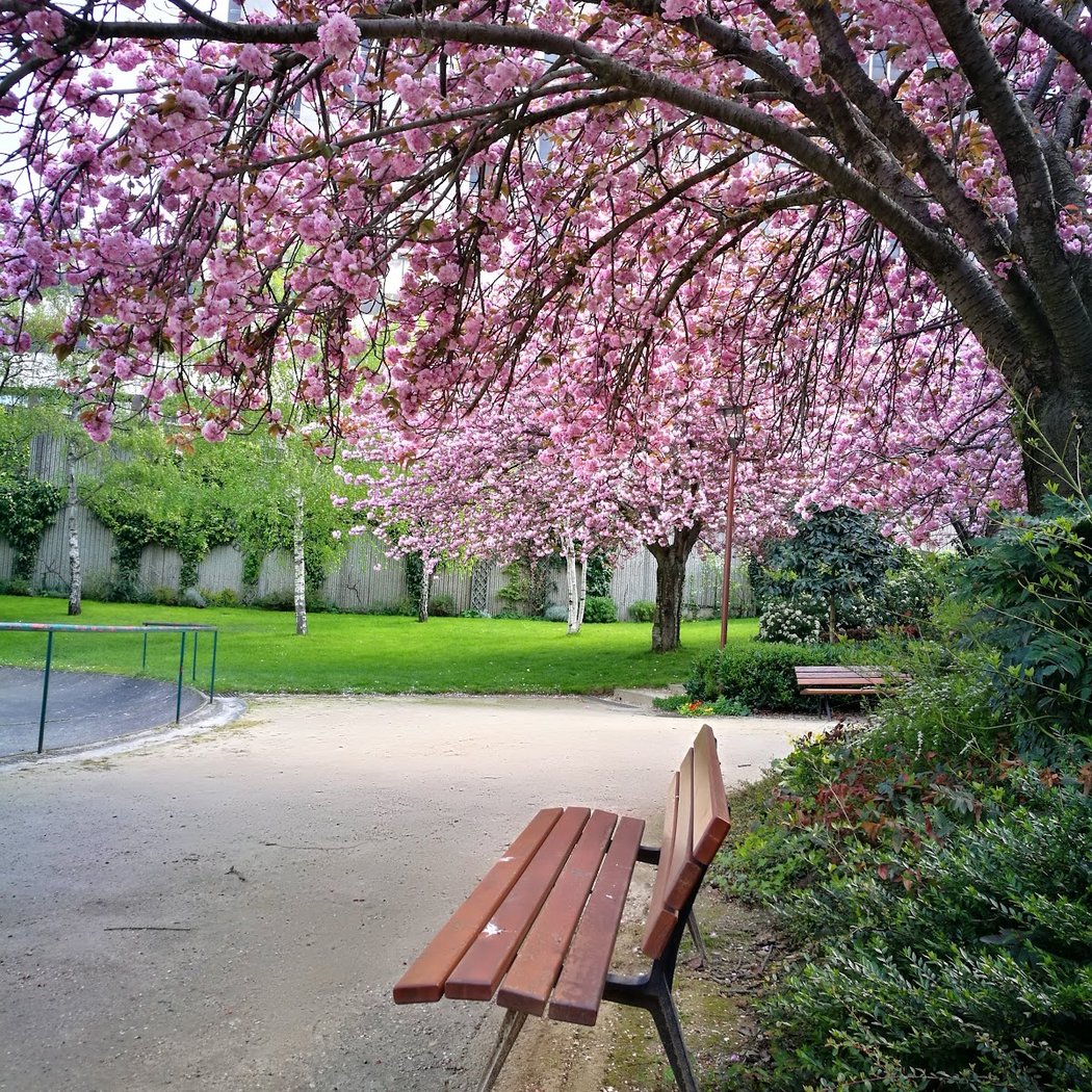 Square street Henri Huchard 1