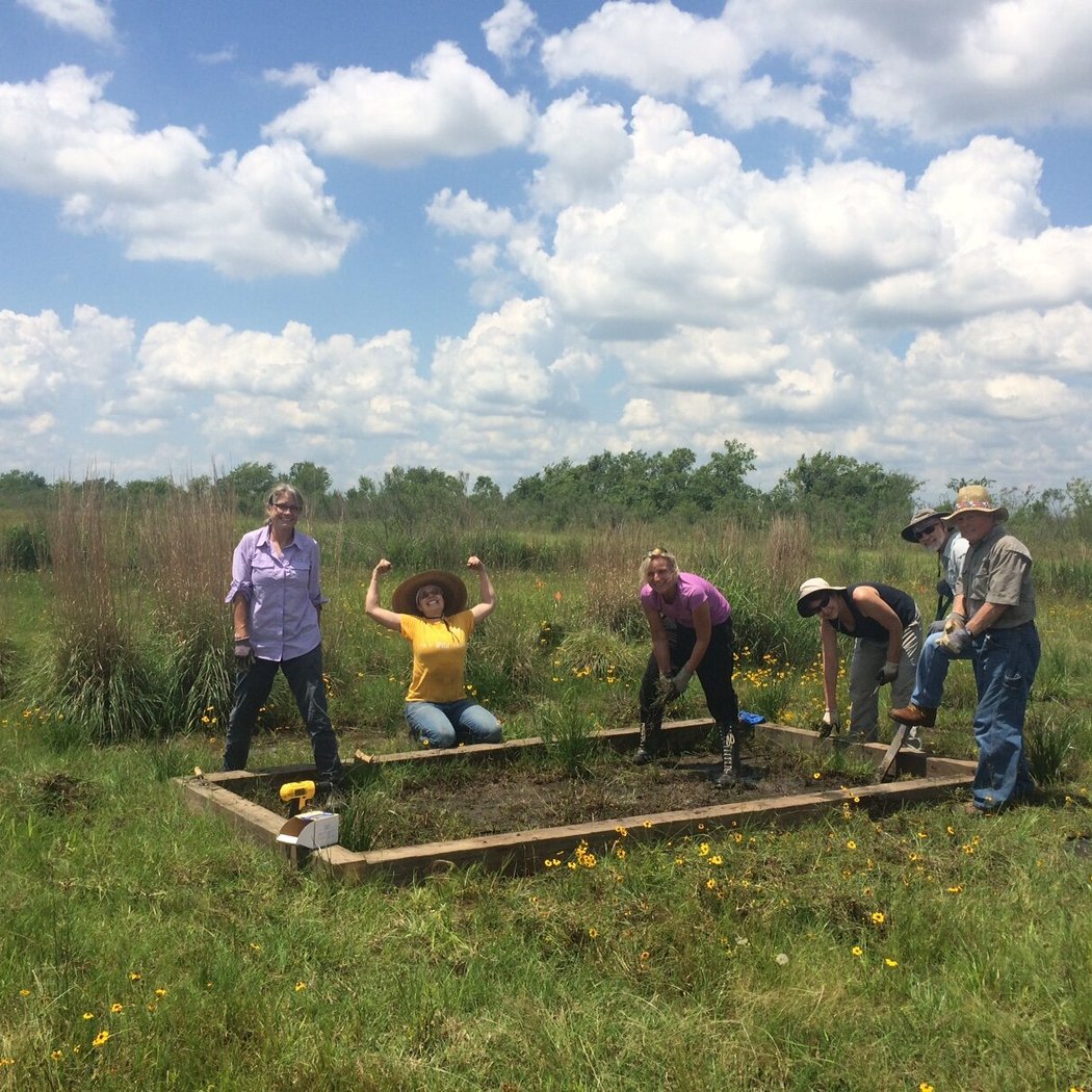 Stewardship Saturday 4