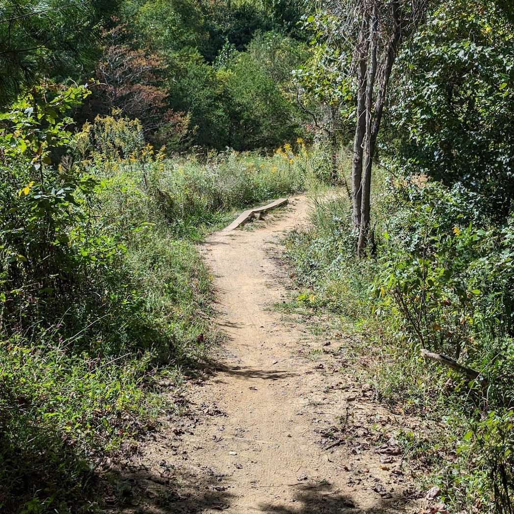 Chestnut Mountain Nature Park 2