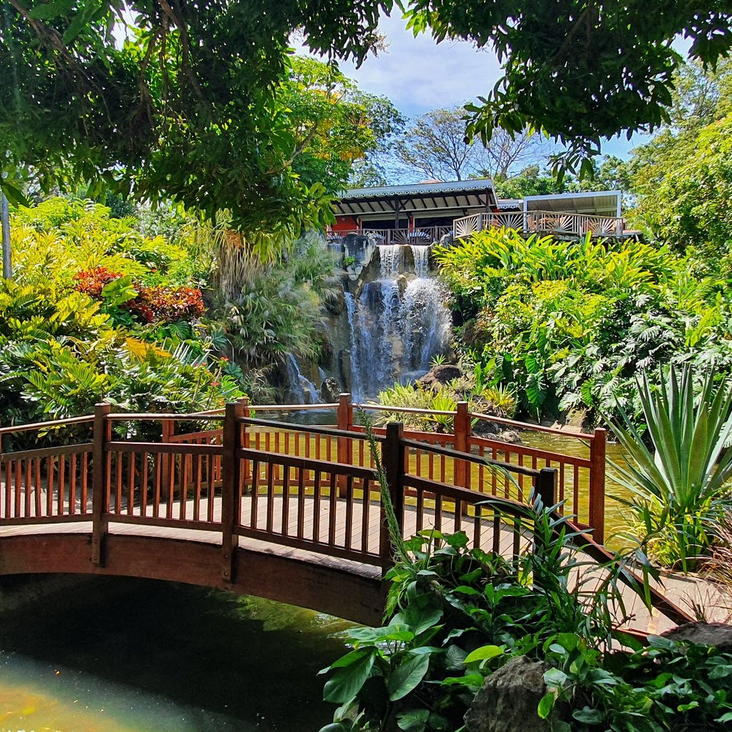 Jardin Botanique de Deshaies 3