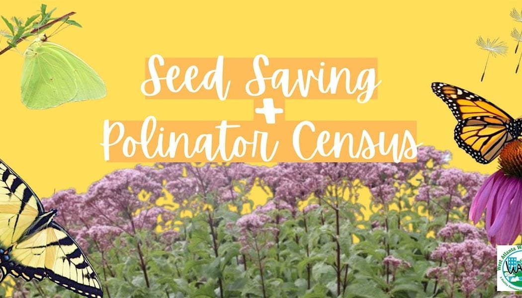 Seed Saving and Pollinator Census 1