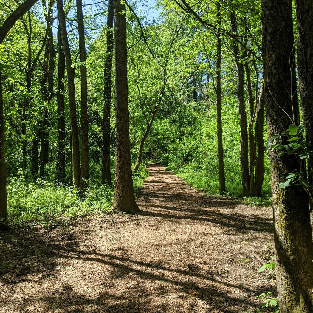 Clyde Shepherd Nature Preserve 3