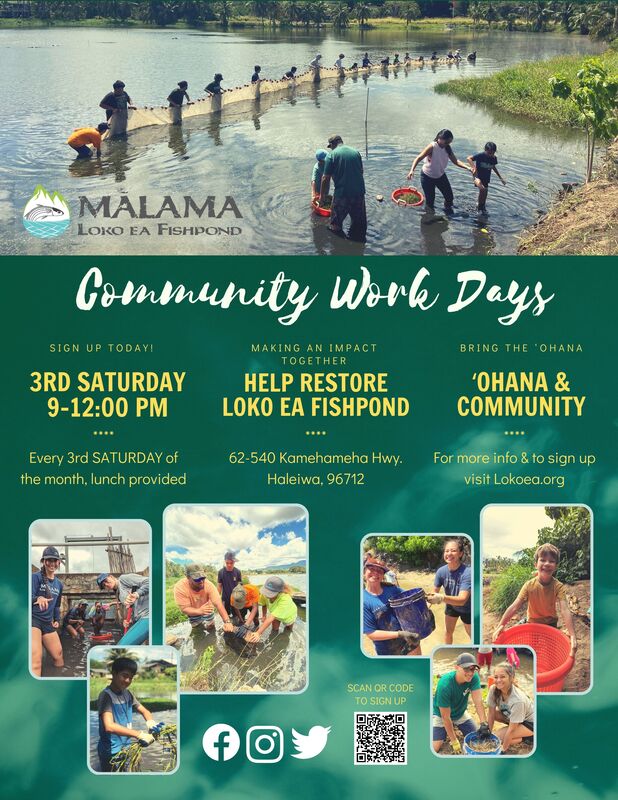 Community Work Day 1