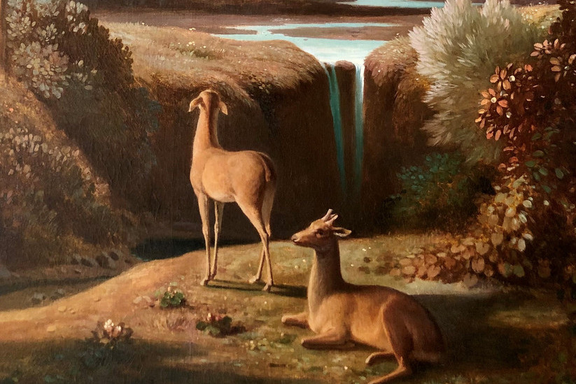 Contes animaliers – visite contée 2