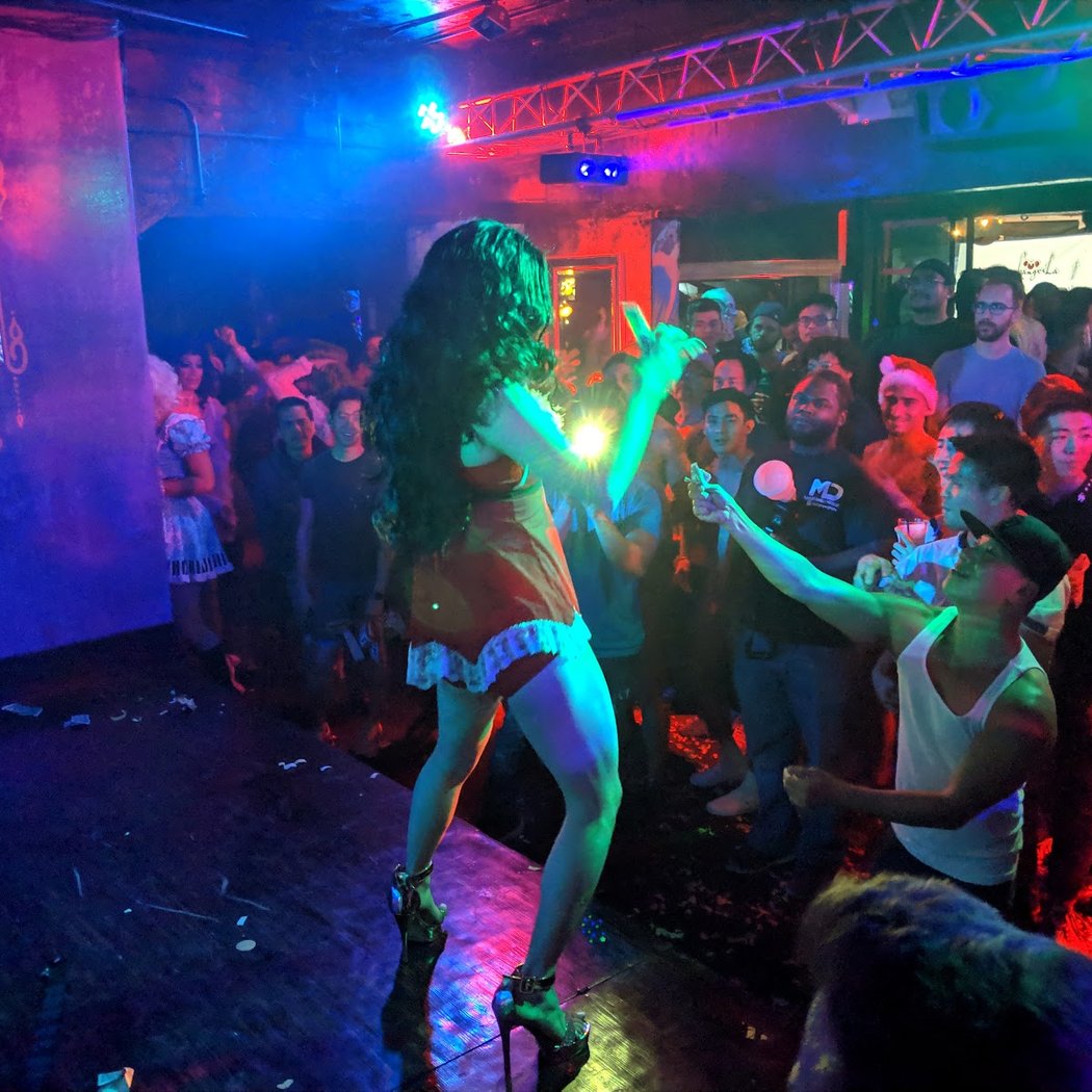 SHOWS 3