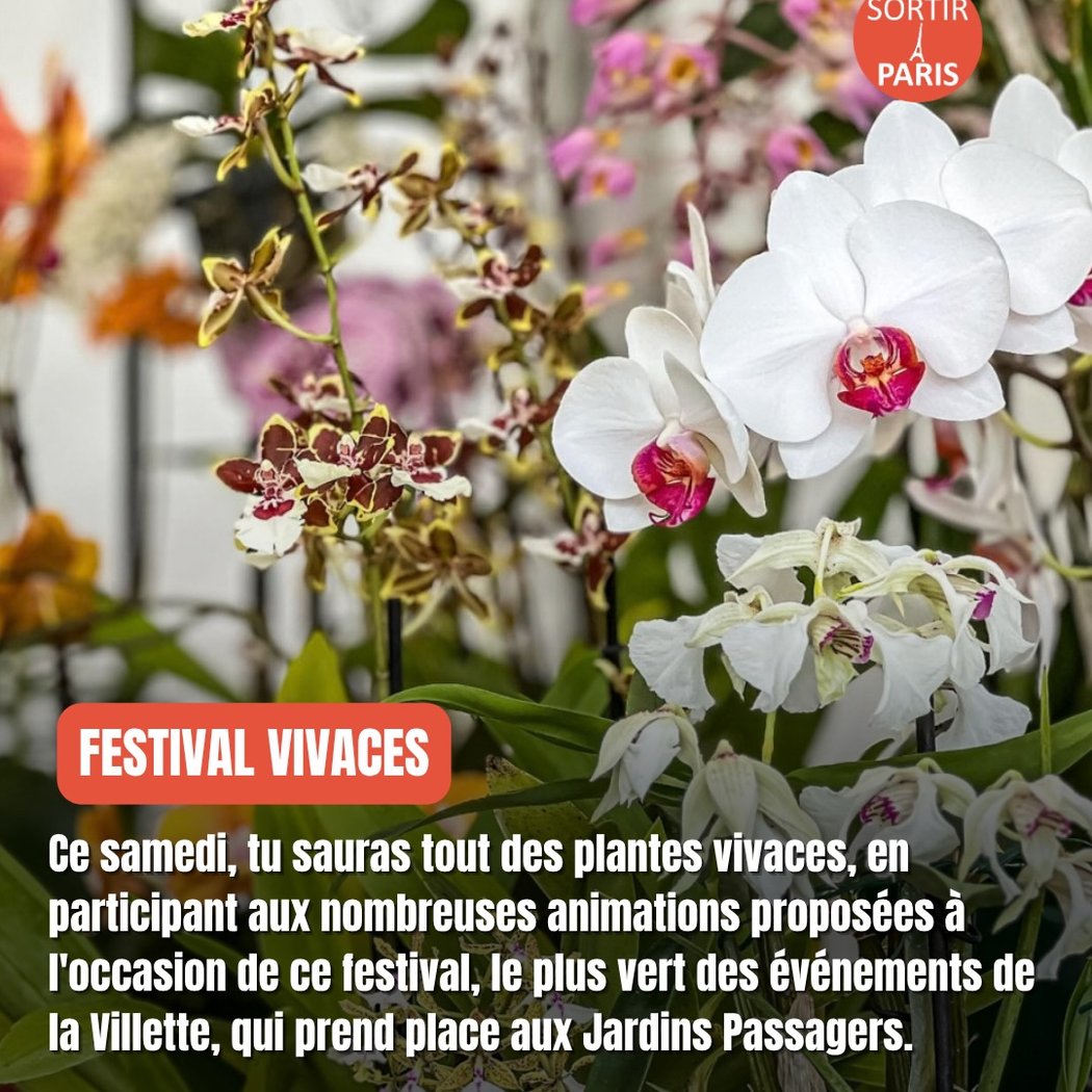 FESTIVAL VIVACES ! #9 1