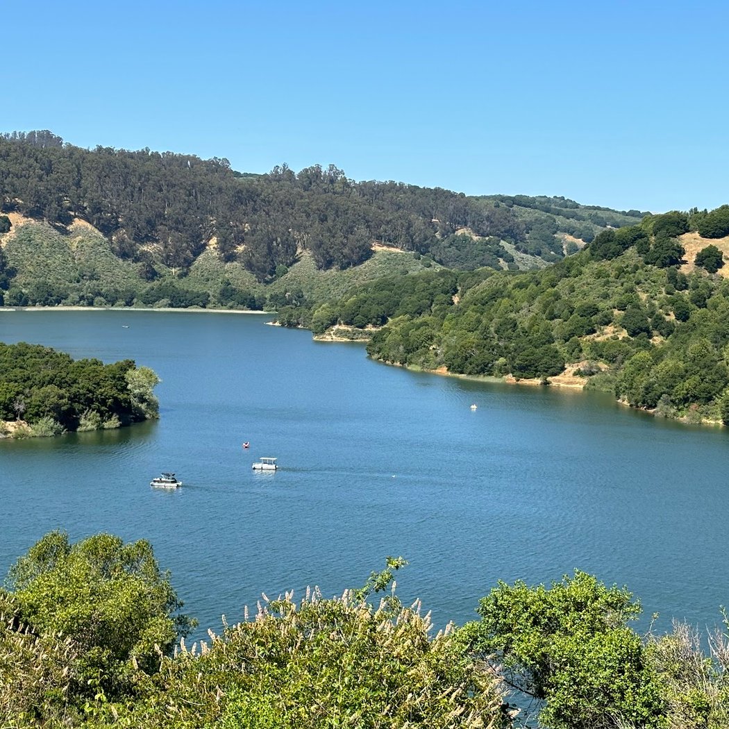 SPASM Lake Chabot Trail Run 2026 3