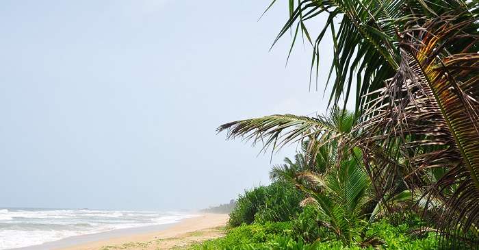 Bentota Beach 3