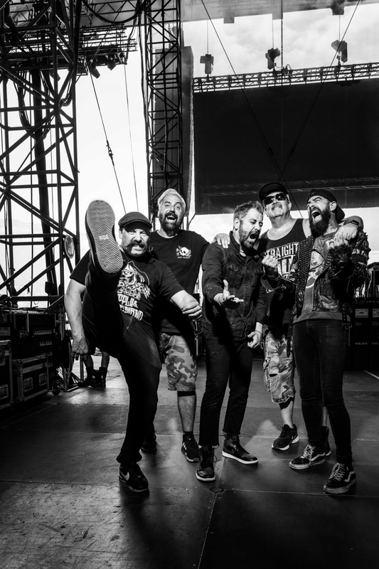 ZEBRAHEAD 1