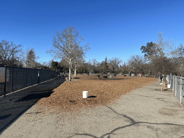 Heather Farm Dog Park 3