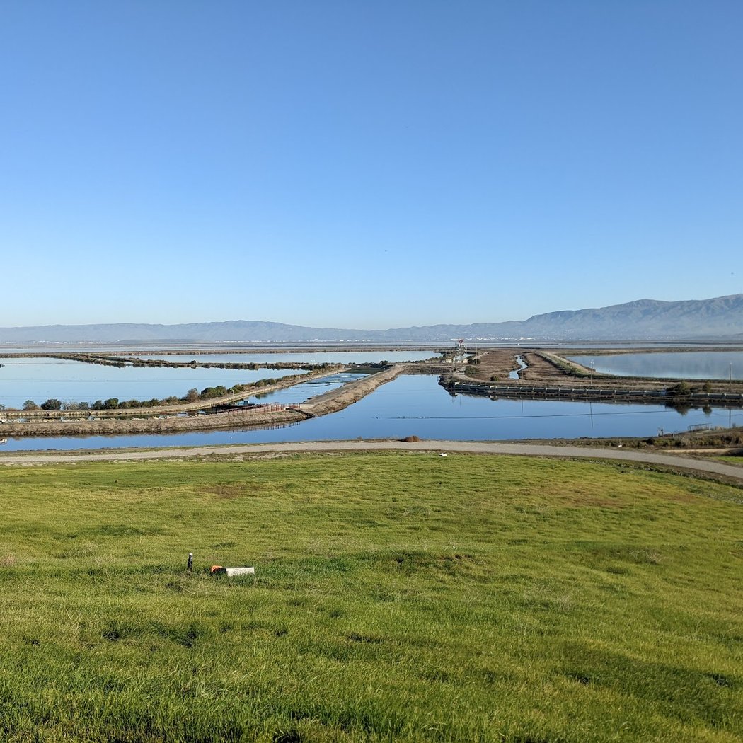 Sunnyvale Bay Trail 2
