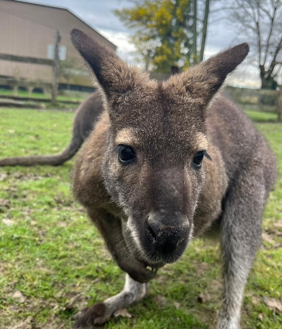 Exotic Park, zoo de Lescar 3
