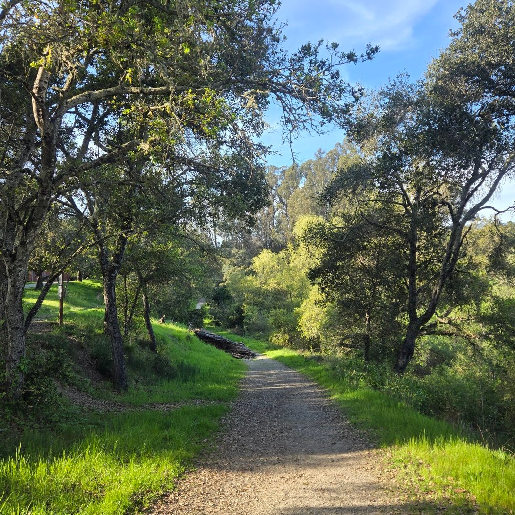 Mother's Day Run & Walk 1