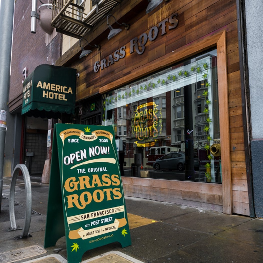 Grass Roots 2