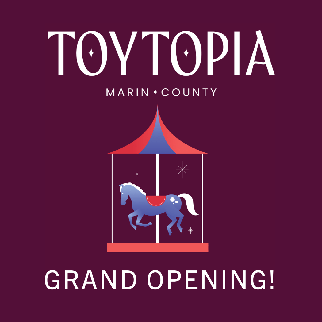 Toytopia of Marin 2