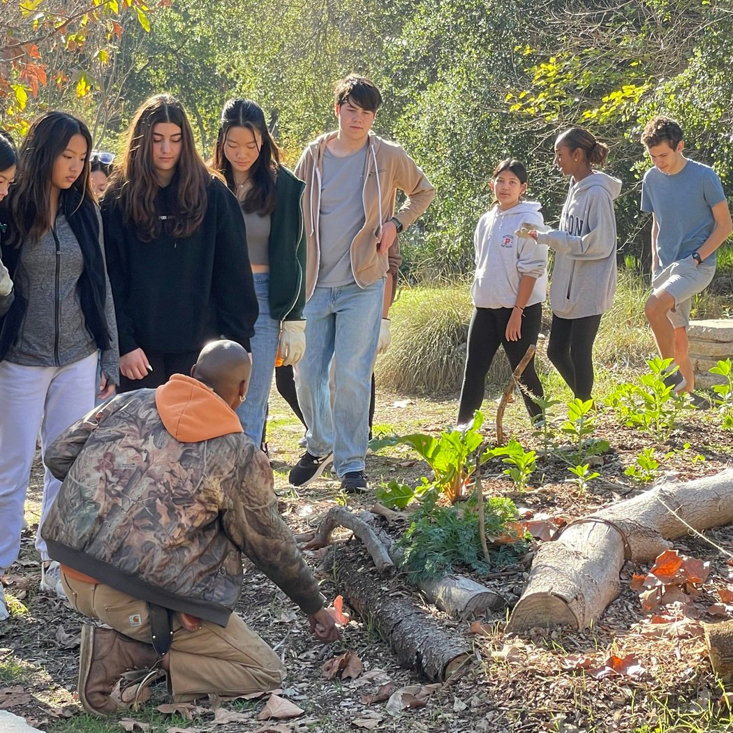 Volunteer Tuesdays