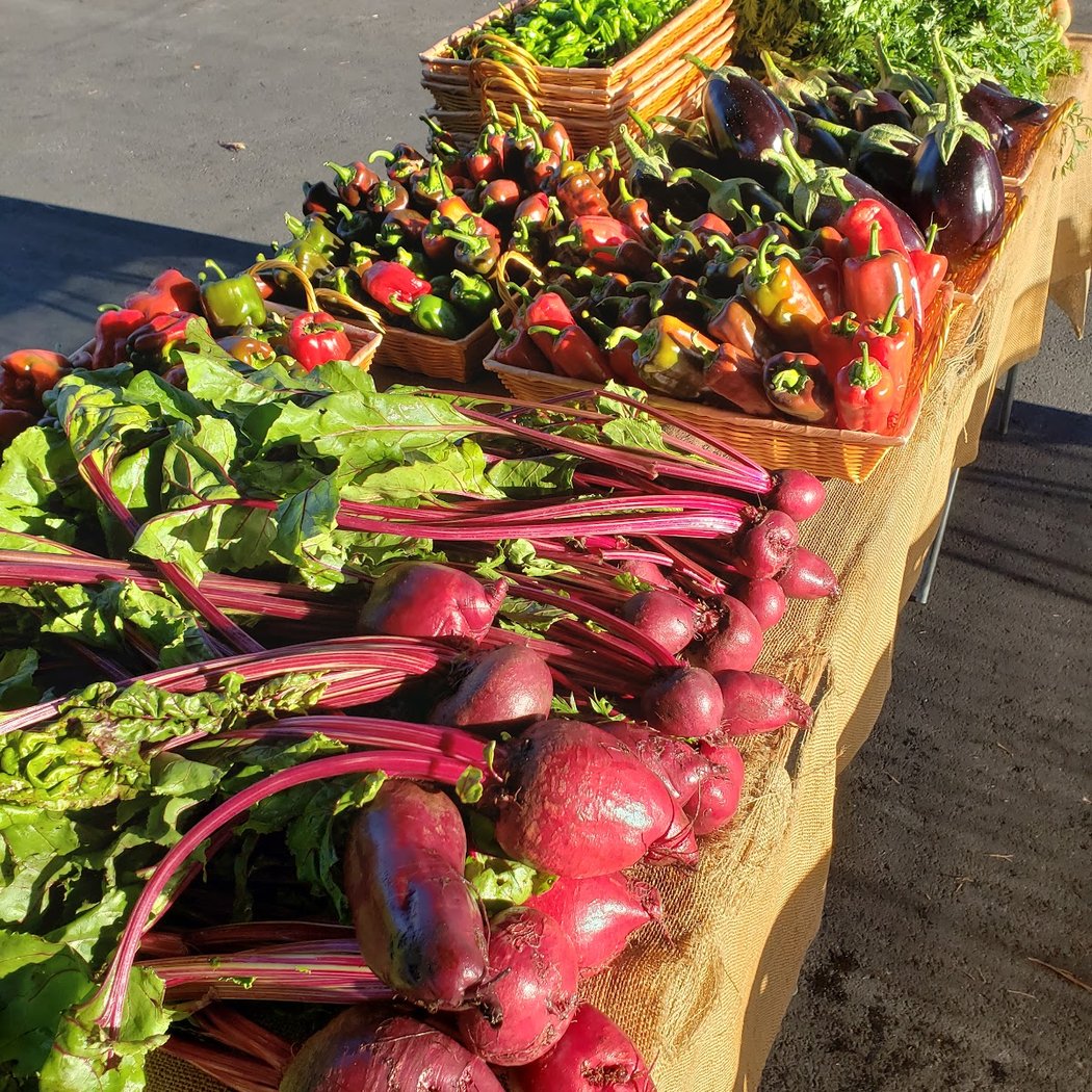 Sonoma Valley Certified Farmers Market 1