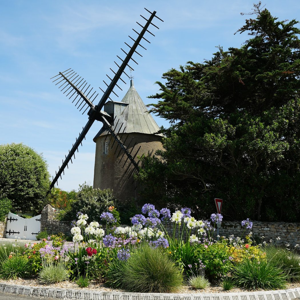 Le Moulin de Bellère 1