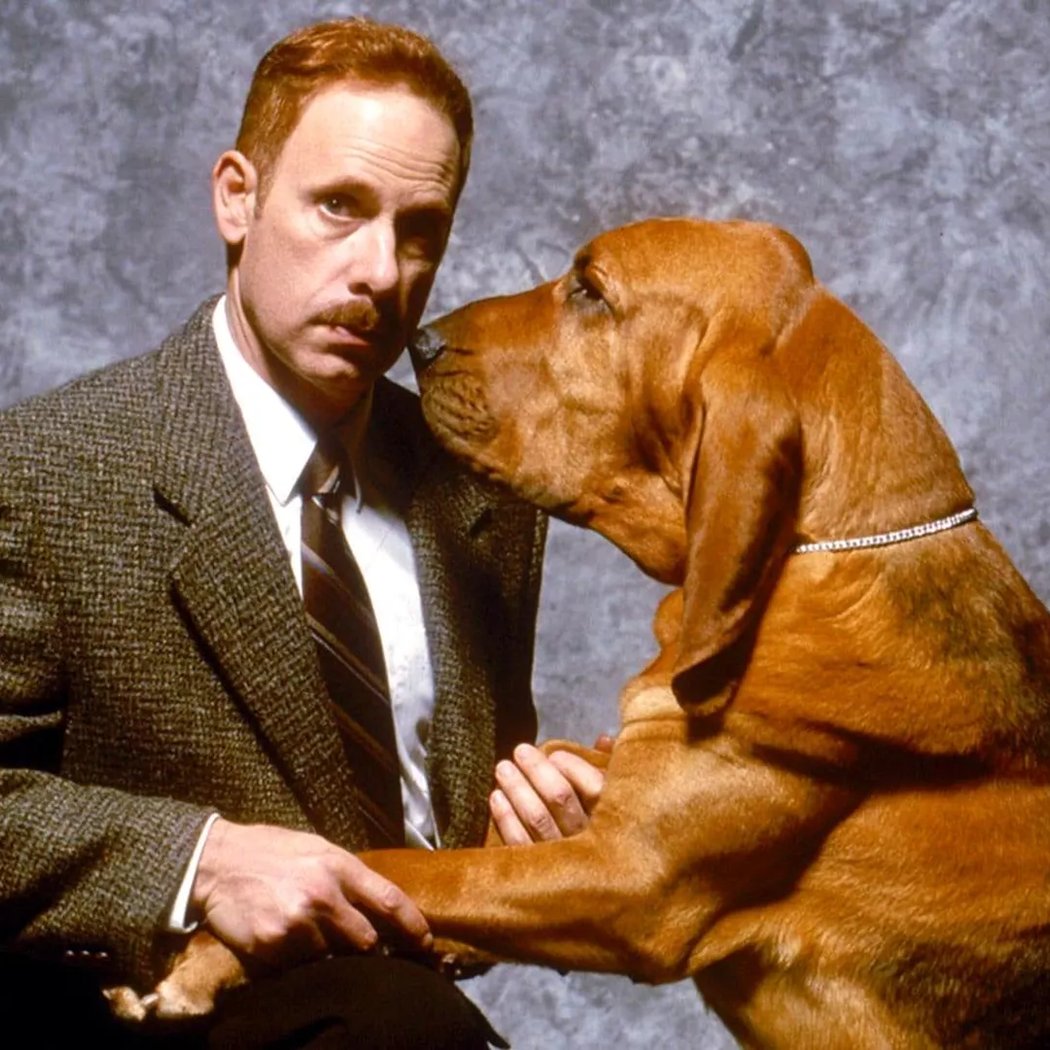 Kino Canines